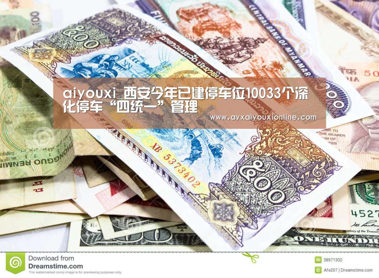 aiyouxi_西安今年已建停车位10033个深化停车“四统一”管理(图3) aiyouxi_西安今年已建停车位10033个深化停车“四统一”管理(图3)