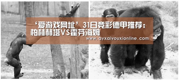 ‘爱游戏网址’31日竞彩德甲推荐:柏林赫塔VS霍芬海姆(图4) ‘爱游戏网址’31日竞彩德甲推荐:柏林赫塔VS霍芬海姆(图4)