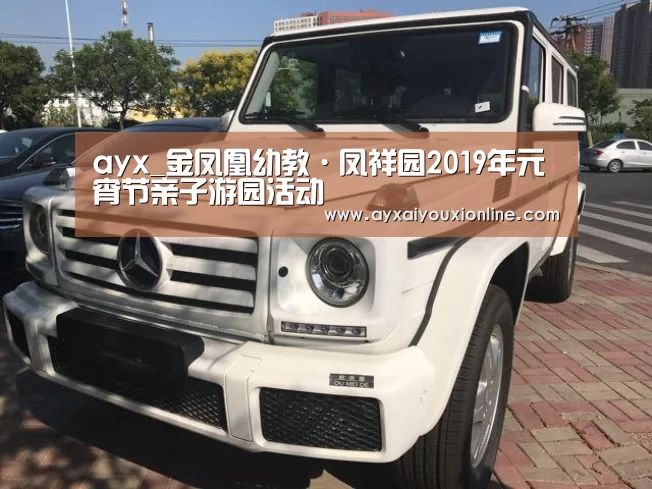 ayx_金凤凰幼教·凤祥园2019年元宵节亲子游园活动(图2)